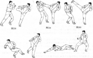 图片106