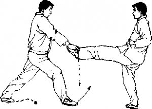 29.2
