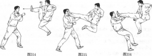 图片10