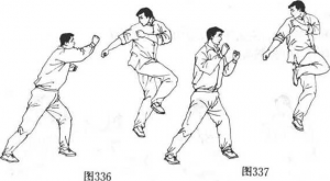图片24