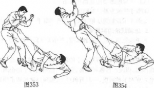 图片31