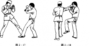 图片11