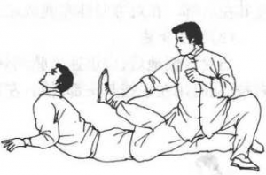 图片17