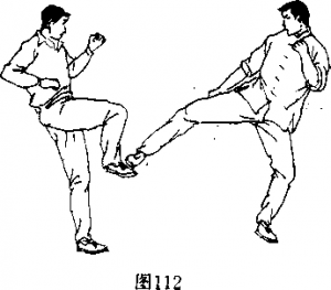 图片131