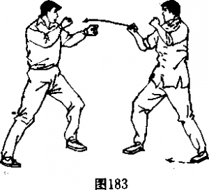 图片167