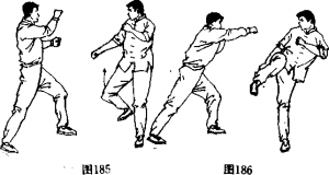 图片169