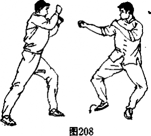 图片178