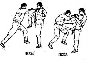 图片191