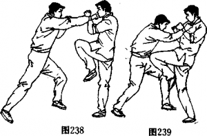 图片193