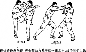 图片196