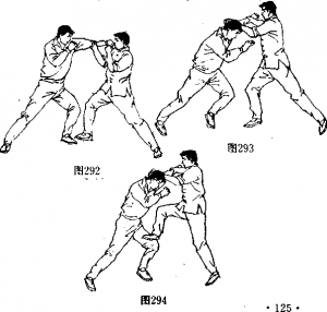 图片223