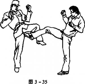 图片23