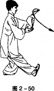 图片48