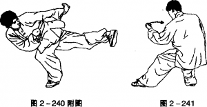 图片161