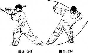 图片164