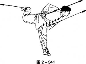 图片221