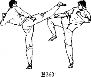 图片11