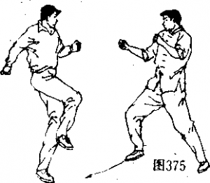 图片16