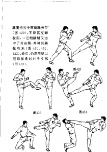 图片46