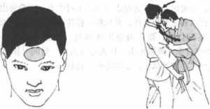 图片157