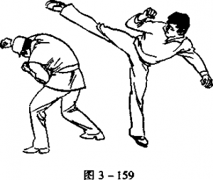 图片176