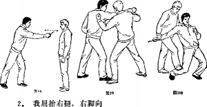图片288