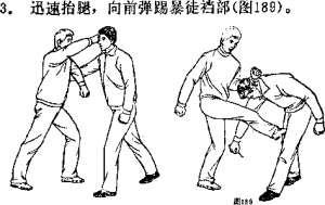 图片341