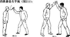图片355