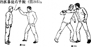 图片357