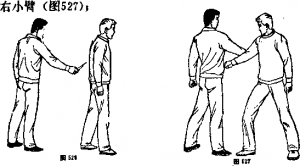 图片528