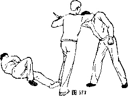 图片558
