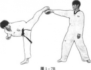 图片8