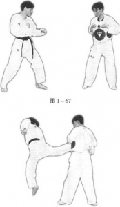 图片49