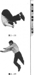 图片147