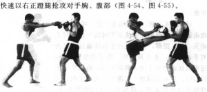 图片31