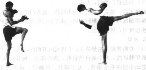图片33