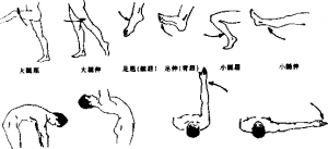 图片8