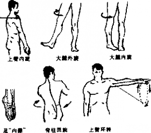 图片11