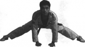 图片13