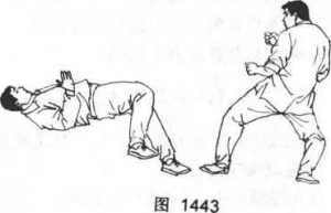 图片12