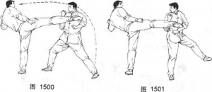 图片49
