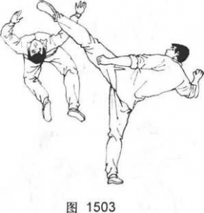 图片46