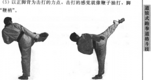 图片83
