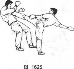 图片113
