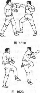 图片115