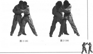 图片134