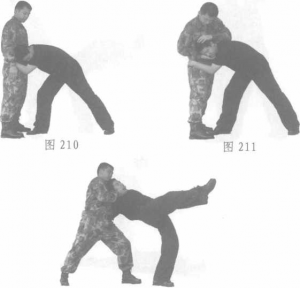 图片10