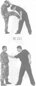 图片17