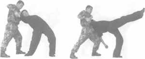 图片19