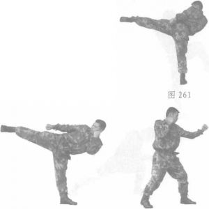 图片33